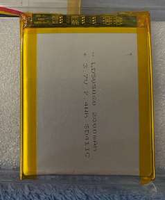 Polymer Battery